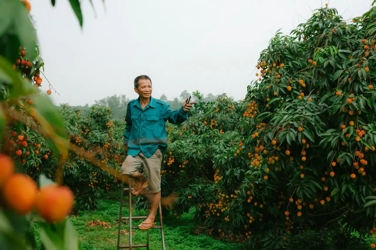 工业触摸屏HMI人机界面选型要点与性能对比分析