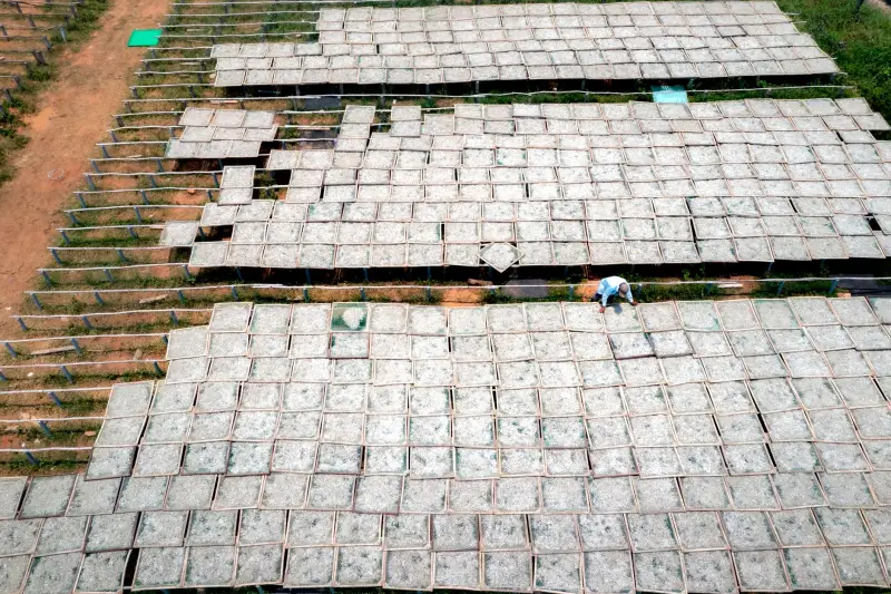 高亮显示工业触摸屏技术对比：提升人机交互体验的关键因素