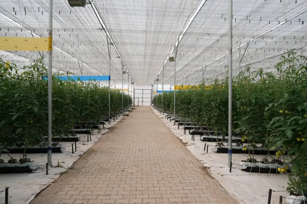 渝中区音迪娱高亮工业触摸屏在自动化设备中的应用案例